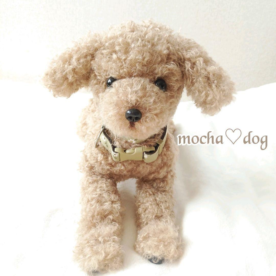 ＊mocha♡dog ＊ プードル(ラテM)☆ぬいぐるみわんこ teddy 犬