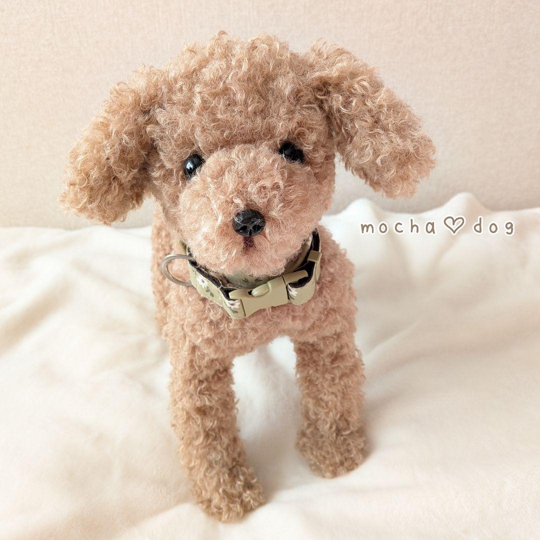 ＊mocha♡dog ＊ プードル(ラテM)☆ぬいぐるみわんこ teddy 犬