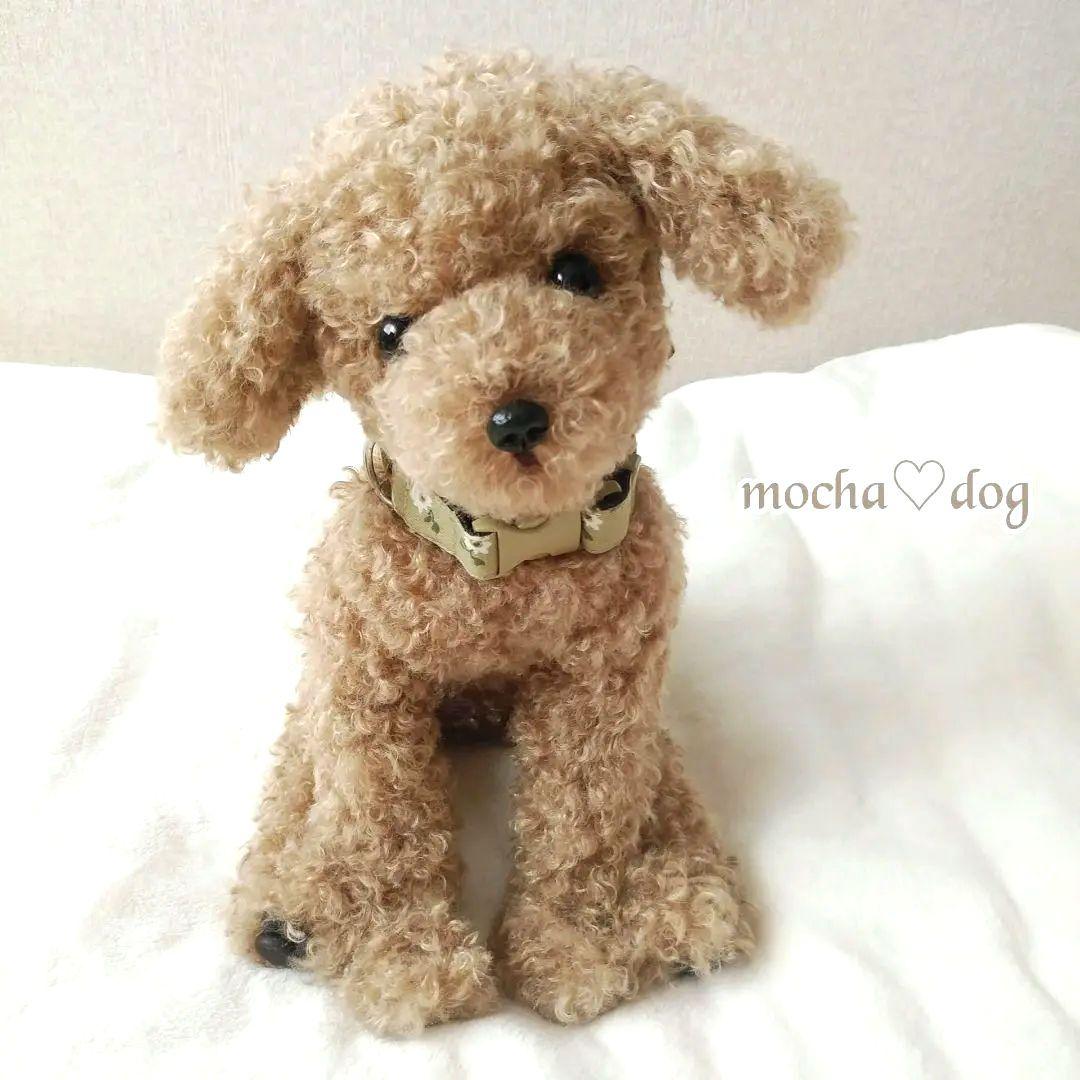 ＊mocha♡dog ＊ プードル(ラテM)☆ぬいぐるみわんこ teddy 犬