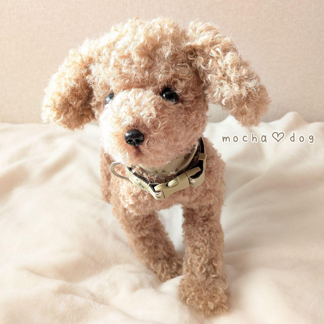 ＊mocha♡dog ＊ プードル(ラテM)☆ぬいぐるみわんこ teddy 犬