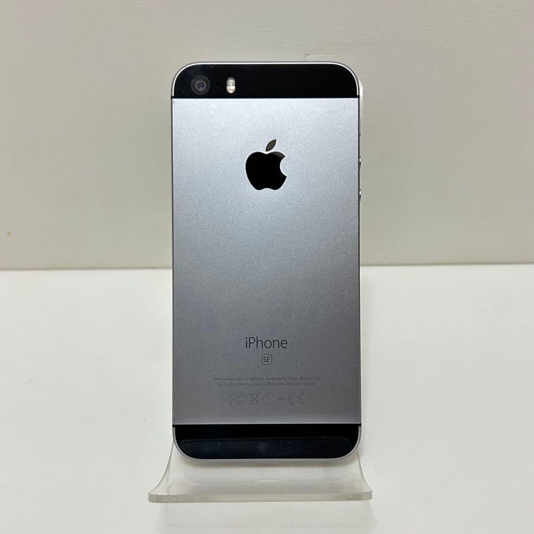 iPhone SE 第1世代 T016446