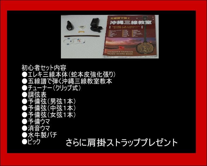 初心者にもおすすめのエレキ三線（蛇本皮強化張り）セット　新品未使用品
