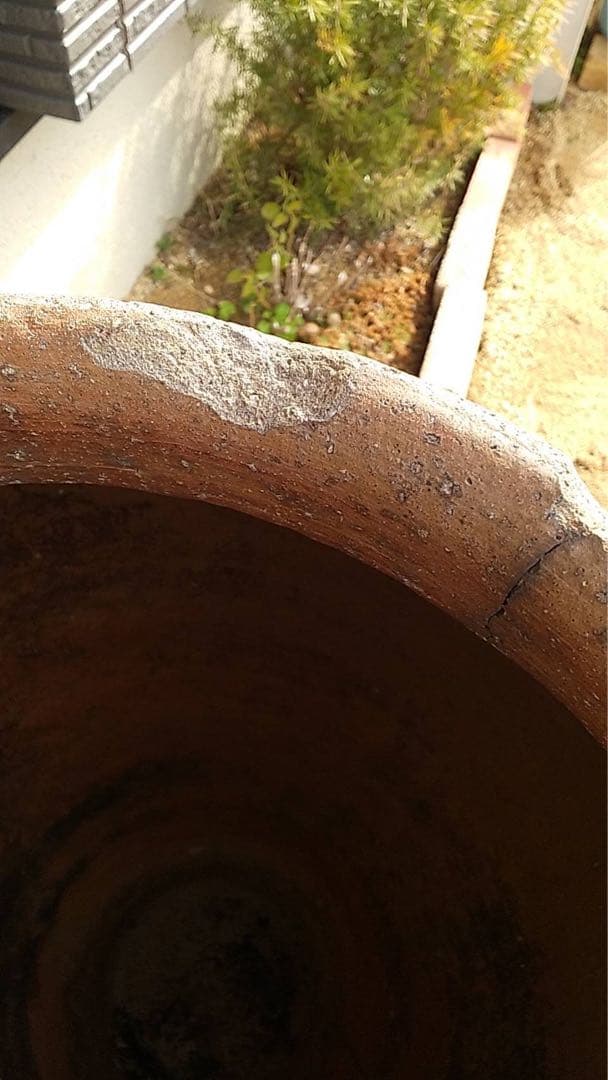 古信楽 六古窯 信楽 大壺 古美術 茶道具 煎茶器 アンティーク 中国美術