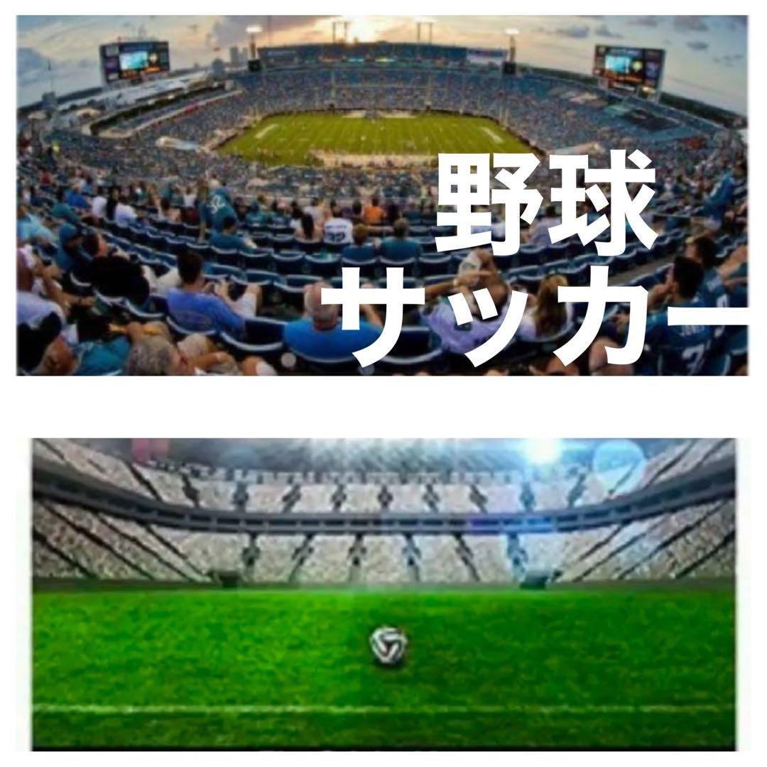Nikonカメラをお持ちの方におすすめ！即決OK！ズームレンズ！初心者サポート付