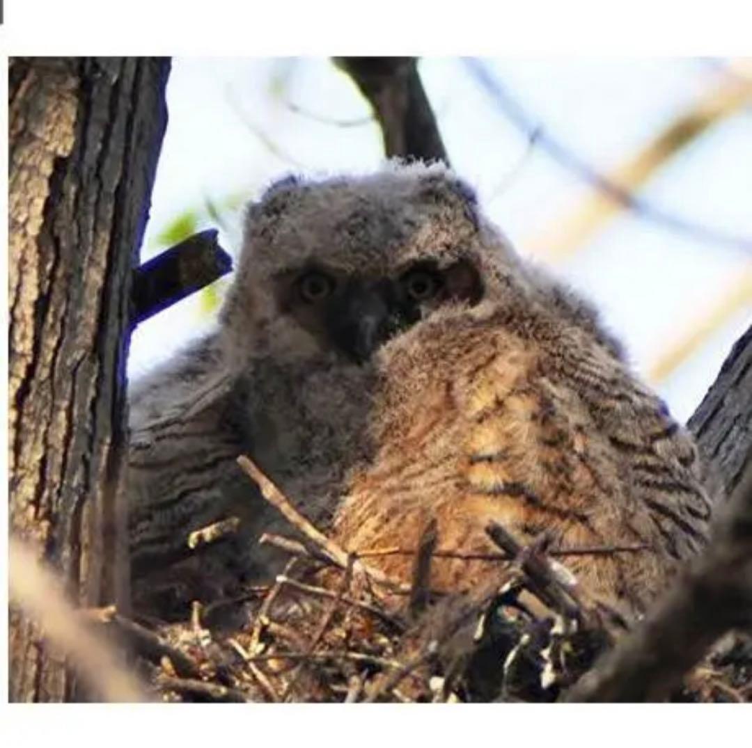 Nikonカメラをお持ちの方におすすめ！即決OK！ズームレンズ！初心者サポート付