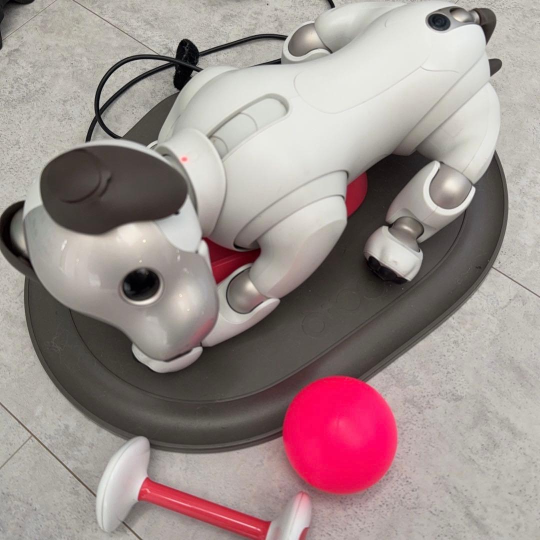 ソニー アイボ aibo ERS-1000 中古