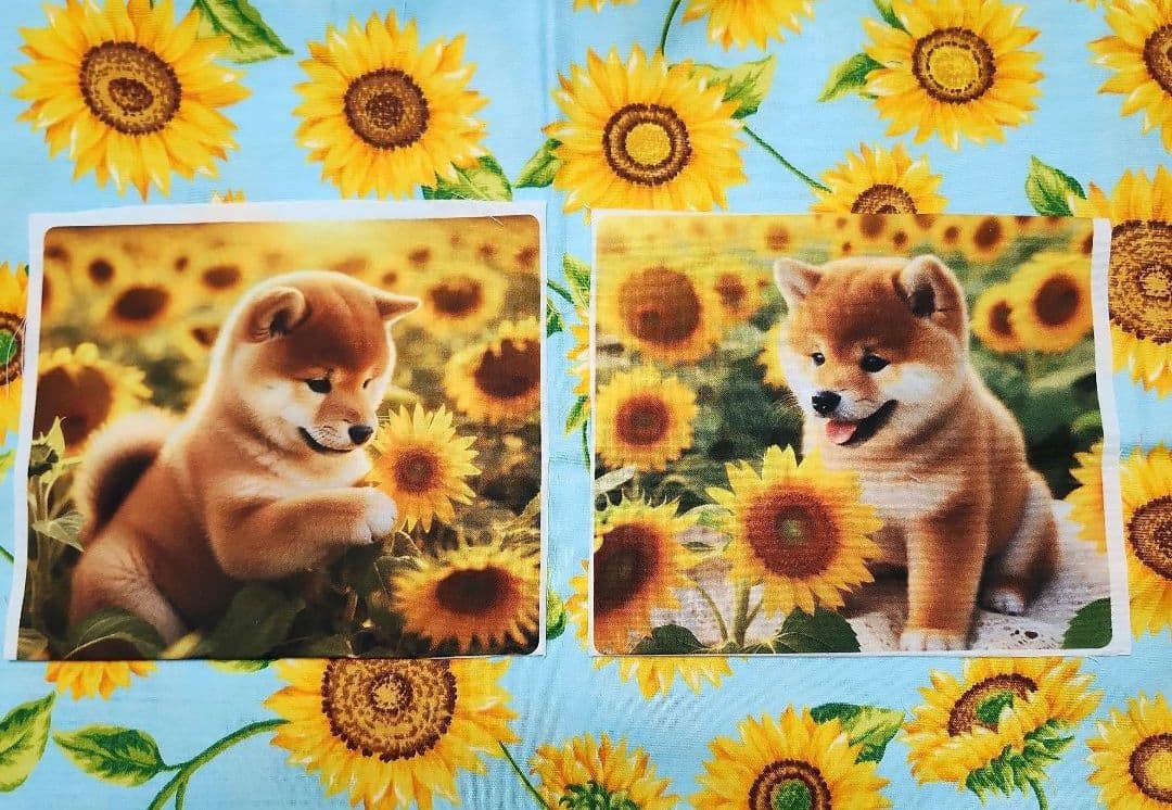 MAY様御確認用♬