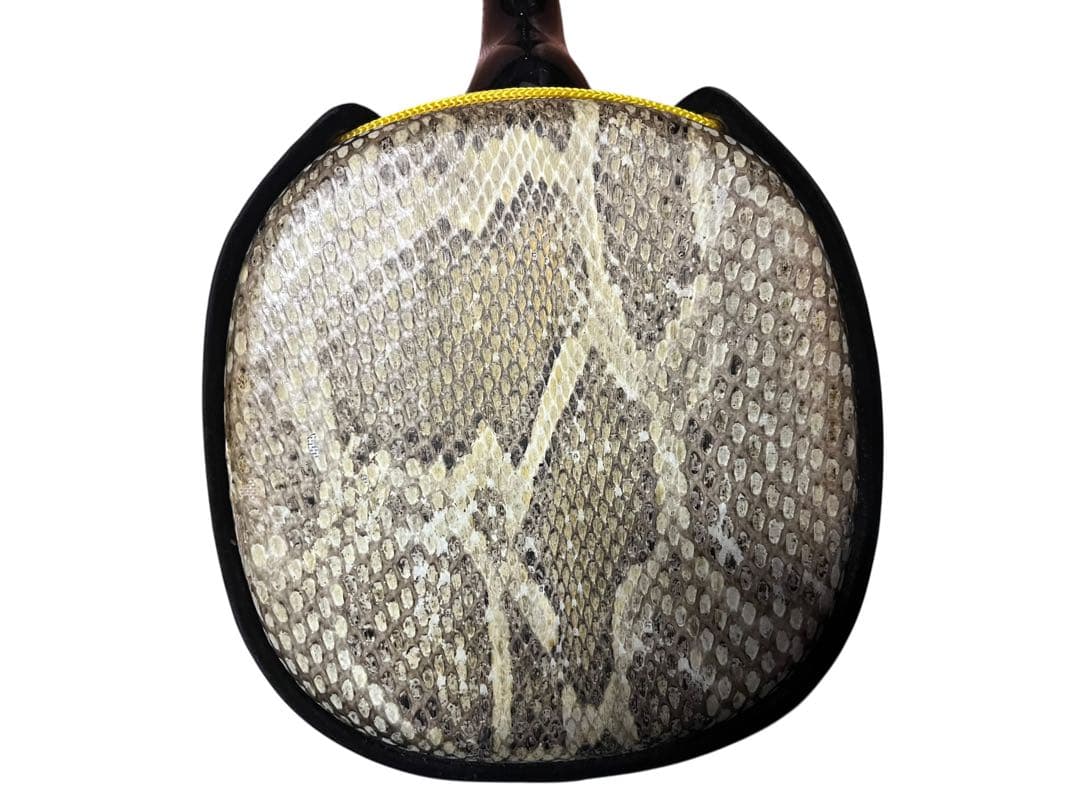 三線本体 沖縄三線 琉線 RS100 ソフトケース付 ビデオ教材付