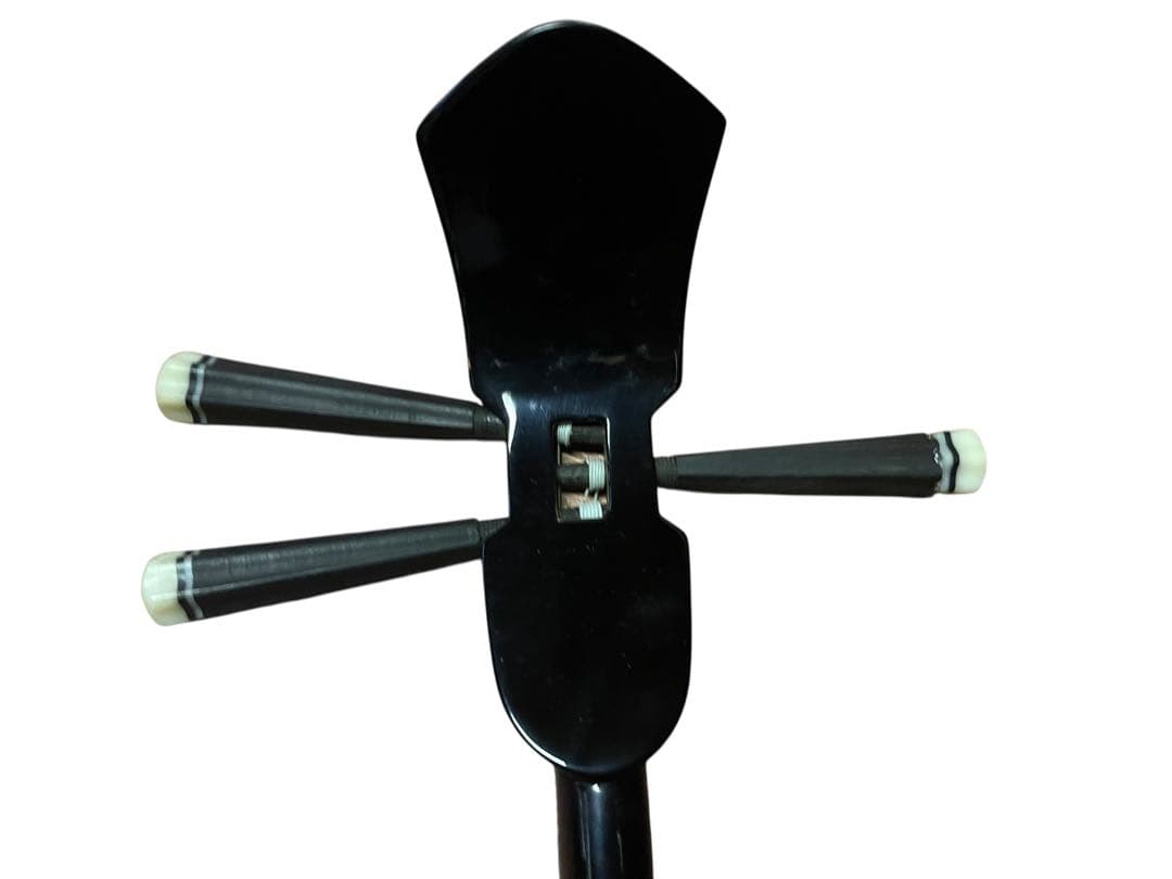 三線本体 沖縄三線 琉線 RS100 ソフトケース付 ビデオ教材付