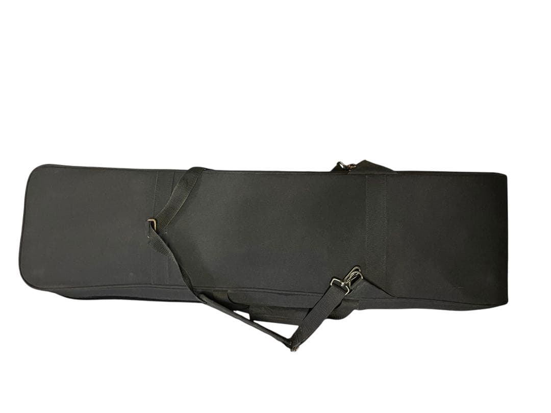 三線本体 沖縄三線 琉線 RS100 ソフトケース付 ビデオ教材付