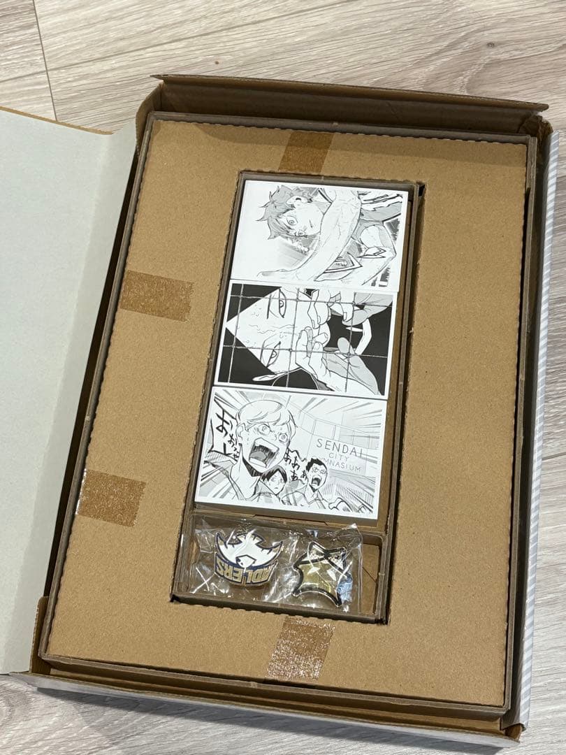 ハイキュー10THクロニクル　特典のみ