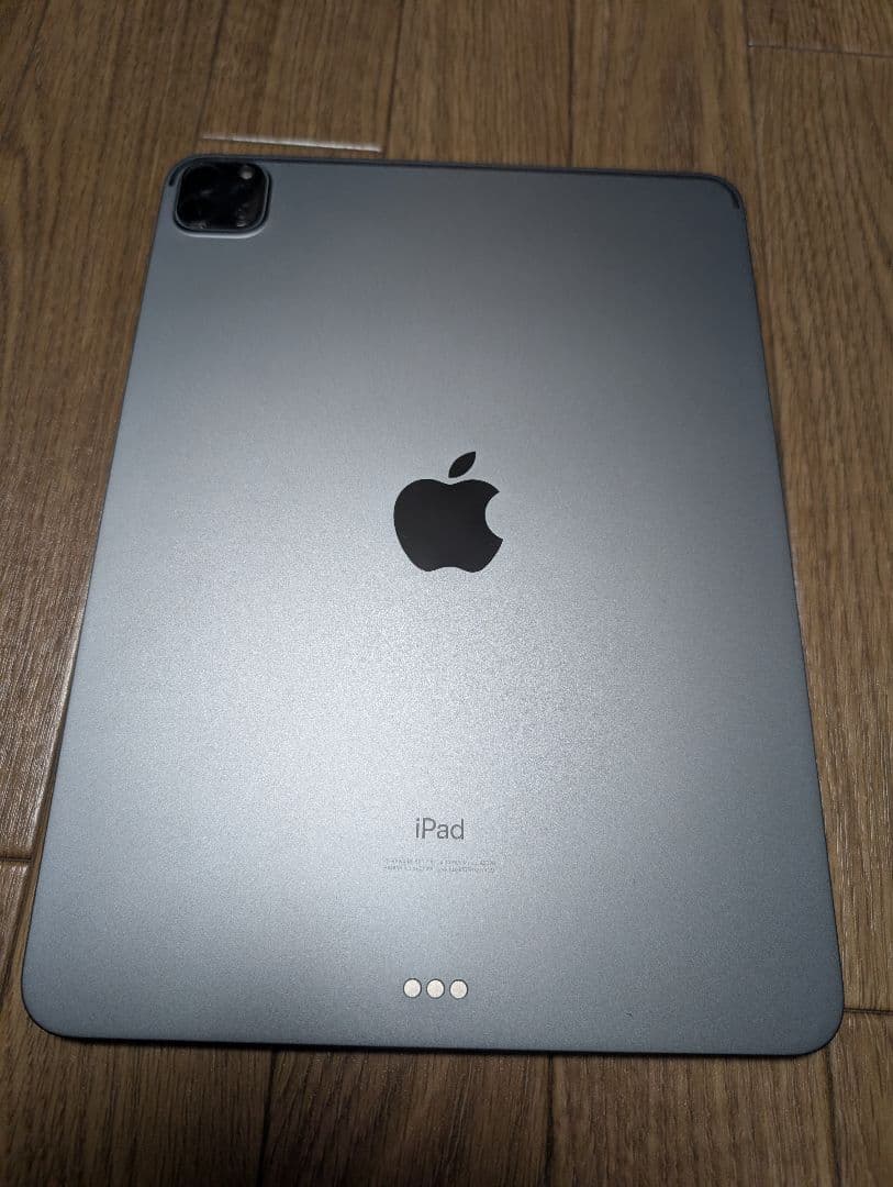 iPad Pro 11 2nd ApplePencil付き