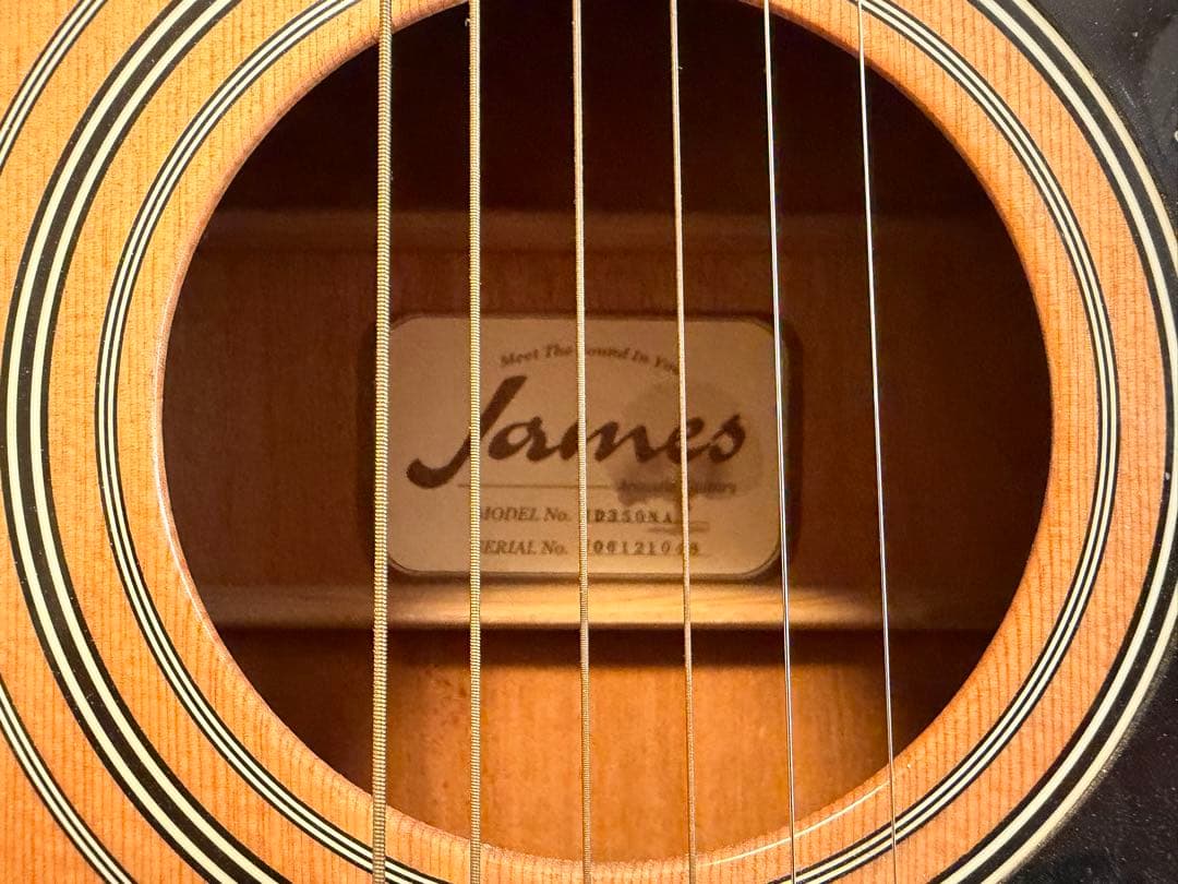 【引取】アコースティックギター JD350NA