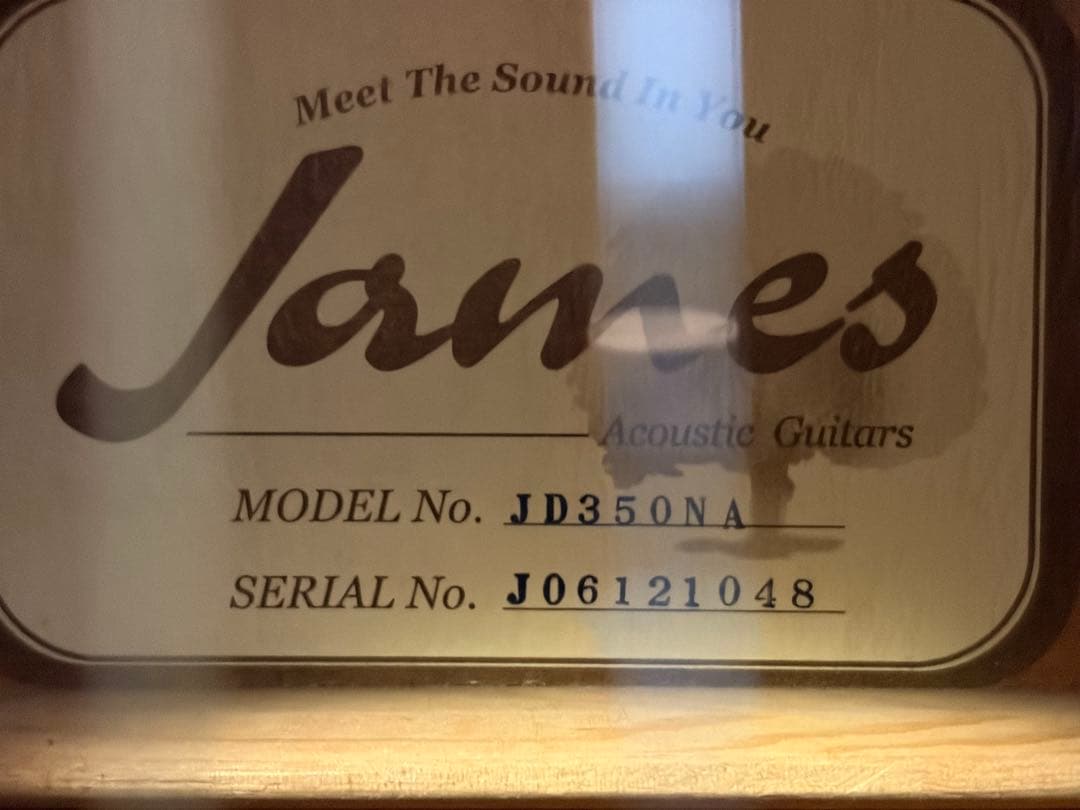【引取】アコースティックギター JD350NA