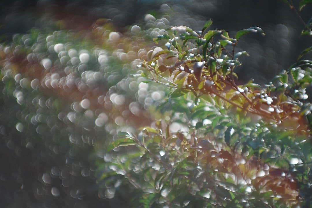 【良品】Super-TAKUMAR 85mm F1.9 作例多数 M42