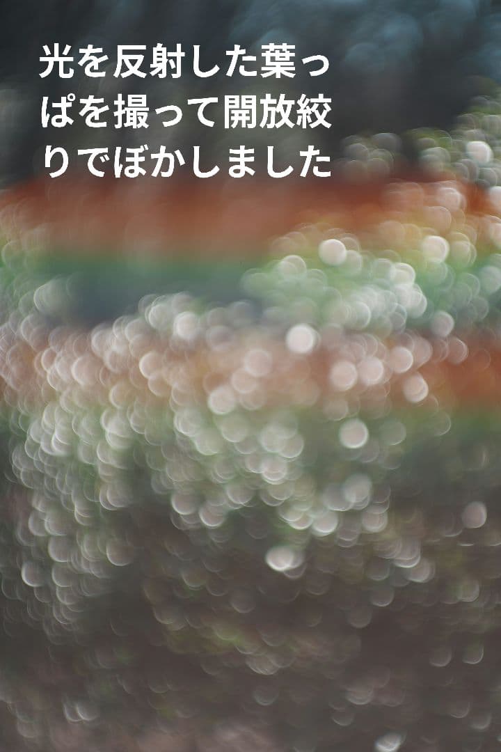 【良品】Super-TAKUMAR 85mm F1.9 作例多数 M42