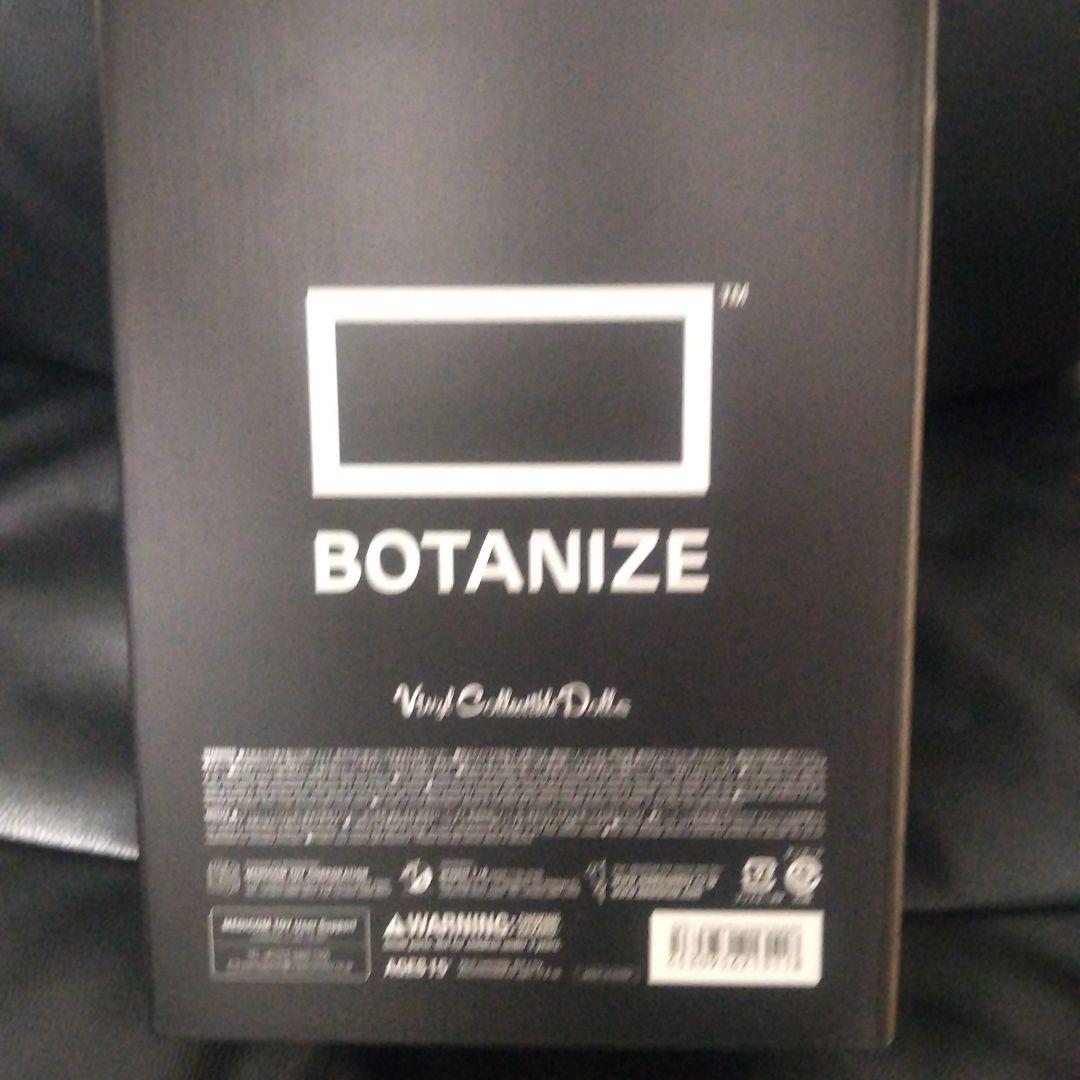 BOTANIZE パキポディウムグラキリスのフィギュア