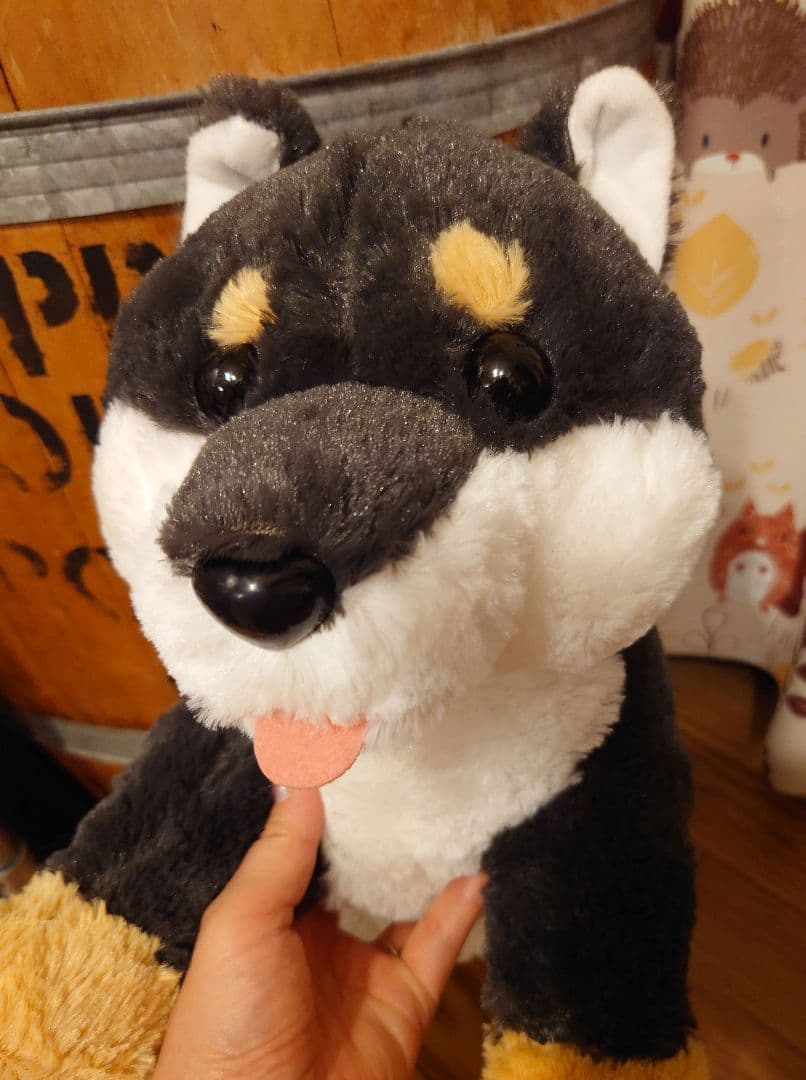 くったり柴犬 元気いっぱい くろりん JB
