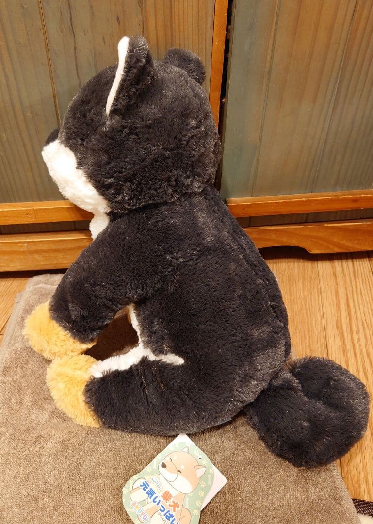 くったり柴犬 元気いっぱい くろりん JB