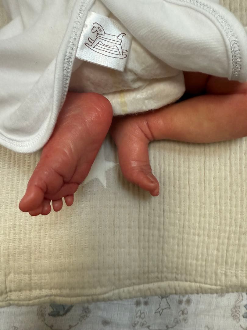 リボーンドール　　Laura