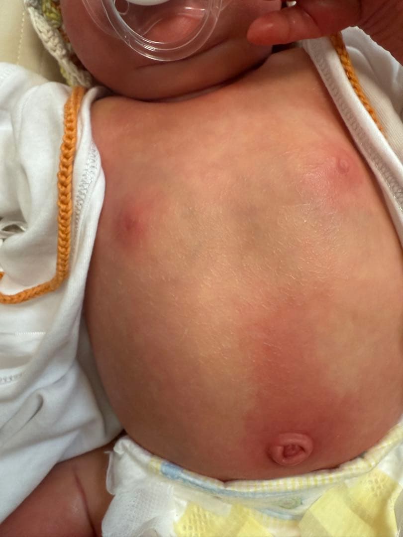 リボーンドール　　Laura