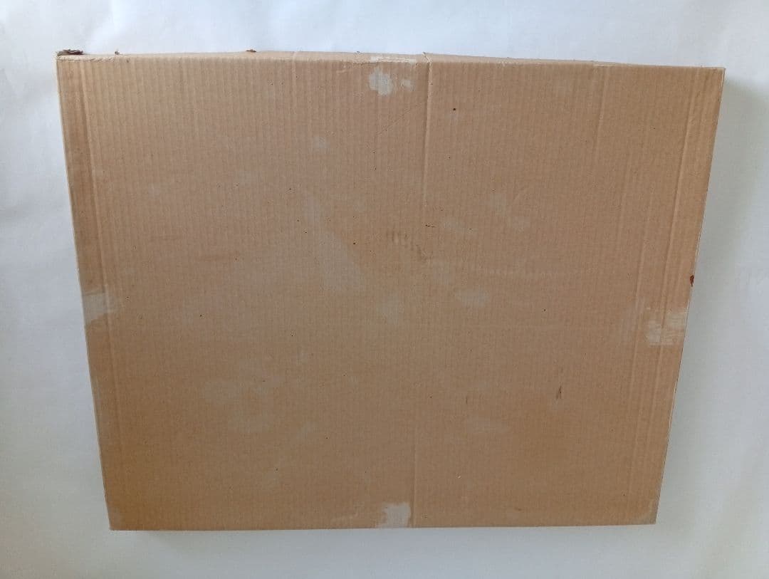 織田義郎 「ノイシュバンシュタイン城 10」 銅版画 手彩色 エッチング 絵画