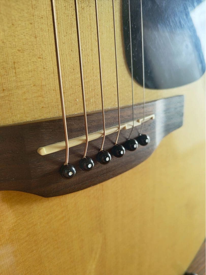 【トップ単板】Takamine タカミネ ED2DC-N エレアコ ギター