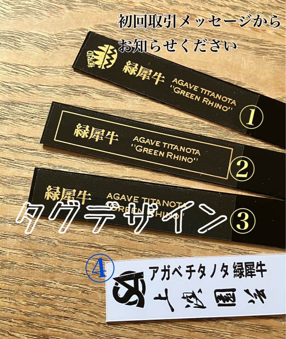 サービス品【速達】⑦優秀　選抜　黒棘　強棘　アガベ　緑犀牛　TC