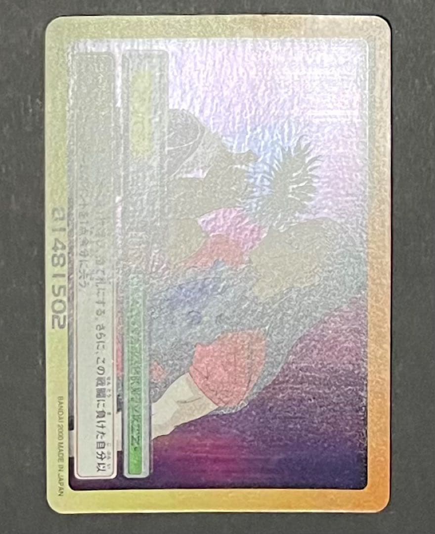 HUNTER×HUNTER 激レア旧カード・キルア&イルミ「絶体絶命」