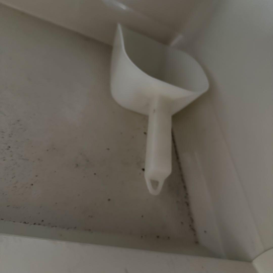 【通電◯】HOSHIZAKI ホシザキ 業務用 製氷機 IM-50L