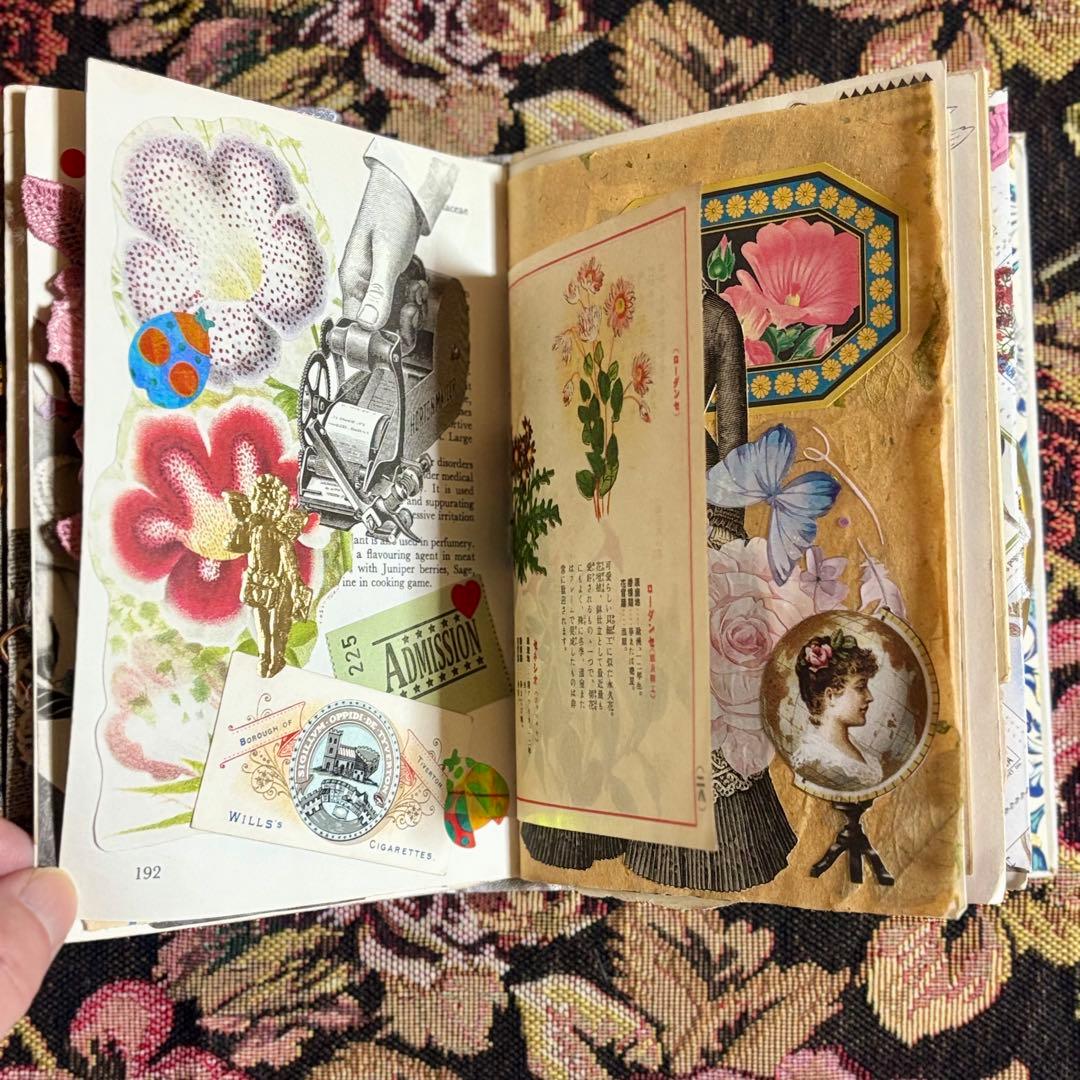 ジャンクジャーナル　おすそ分け　紙もの　コラージュ素材　ヴィンテージ　植物図鑑