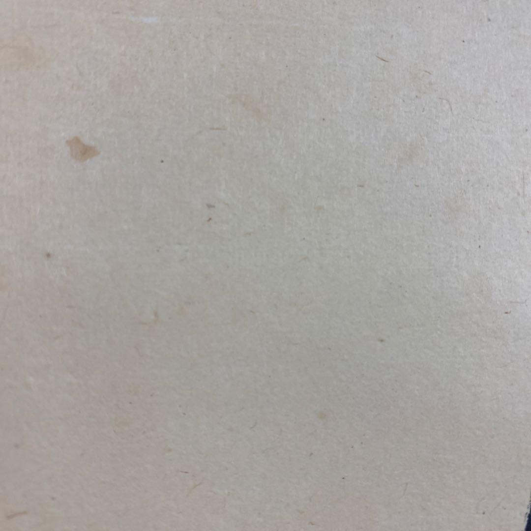 美品 掛け軸 三玄院 長谷川寛州作「柳緑花紅」共箱 禅語 茶掛け