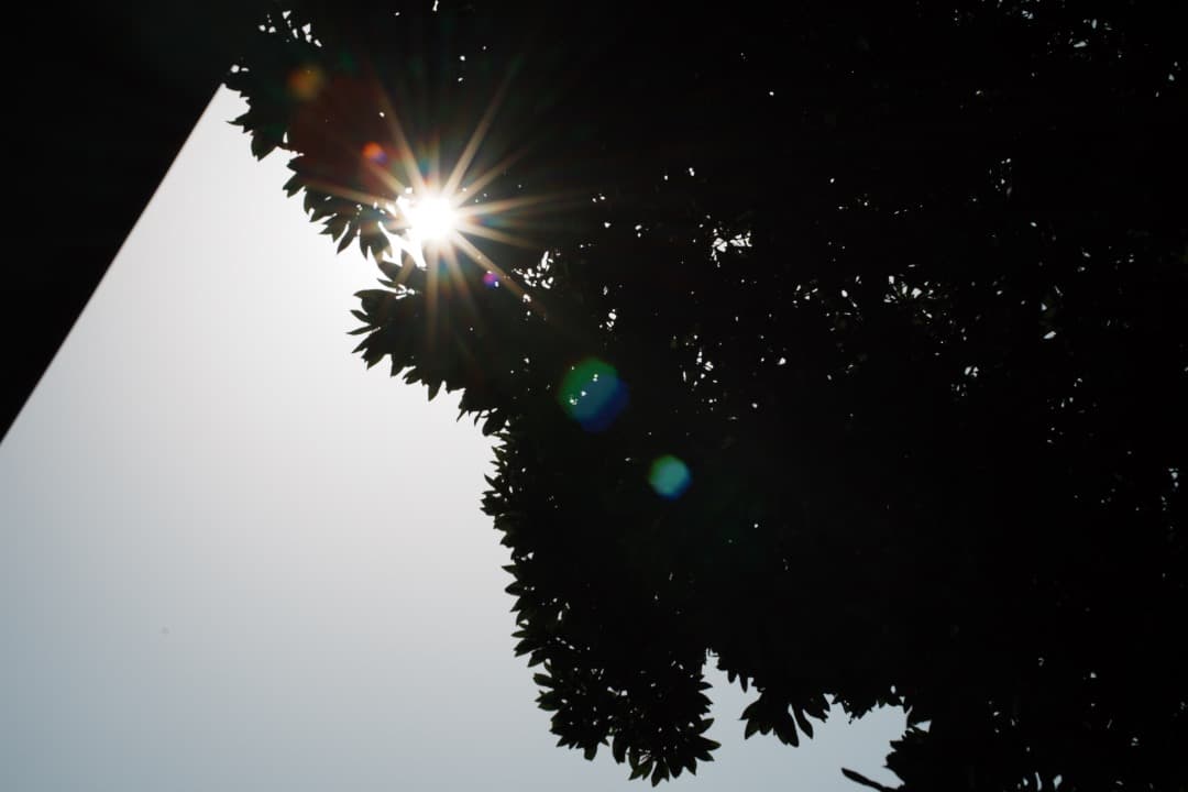 【極美品】動作◎ ニコン　Ai Nikkor 50mm F1.4 723