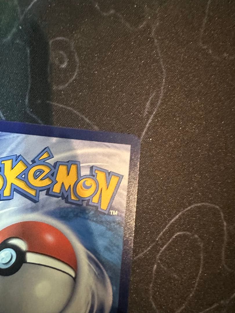 ゼイユ　SAR 中国限定　公式正規品　最新シリーズ