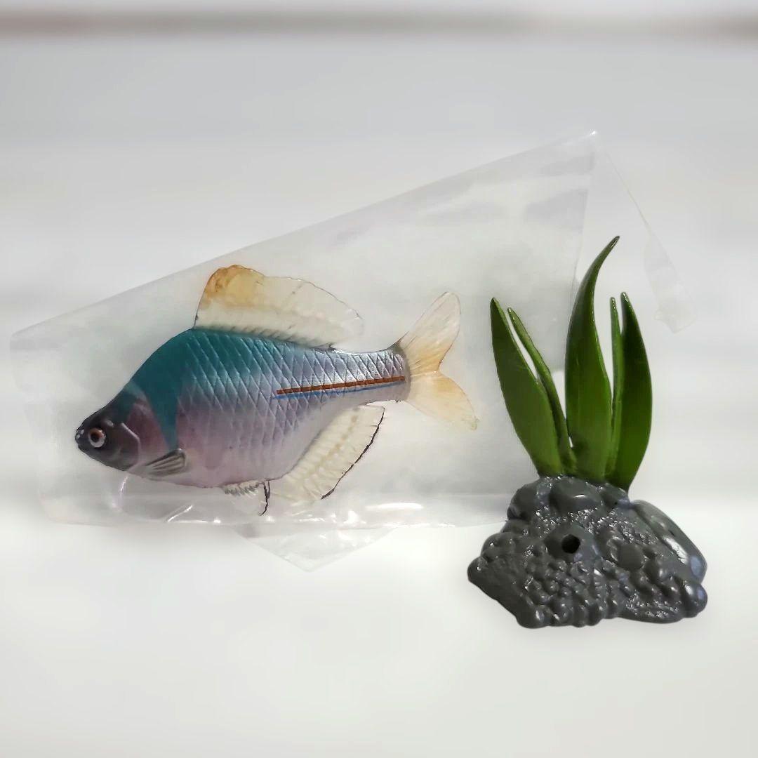 ユージン 原色淡水魚図鑑Ⅰ 全13種+シークレット1種セット