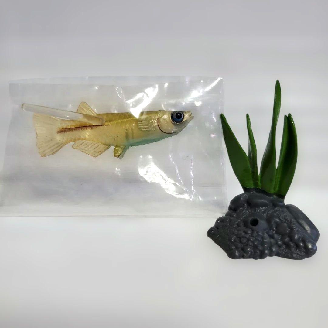 ユージン 原色淡水魚図鑑Ⅰ 全13種+シークレット1種セット