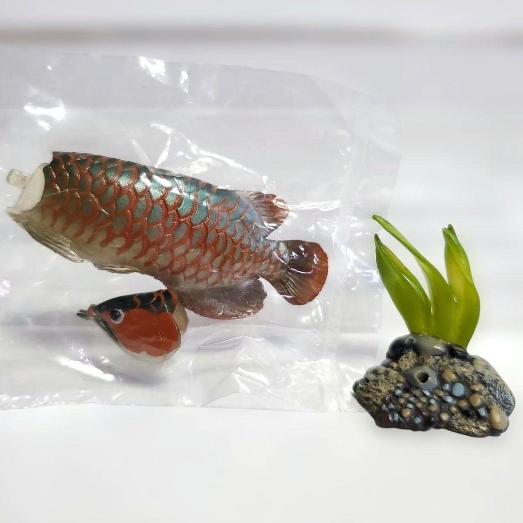 ユージン 原色淡水魚図鑑Ⅰ 全13種+シークレット1種セット