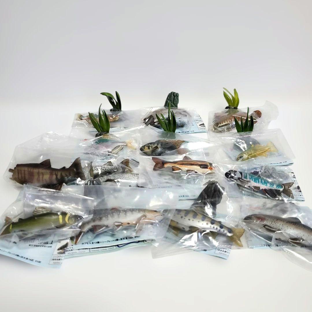 ユージン 原色淡水魚図鑑Ⅰ 全13種+シークレット1種セット