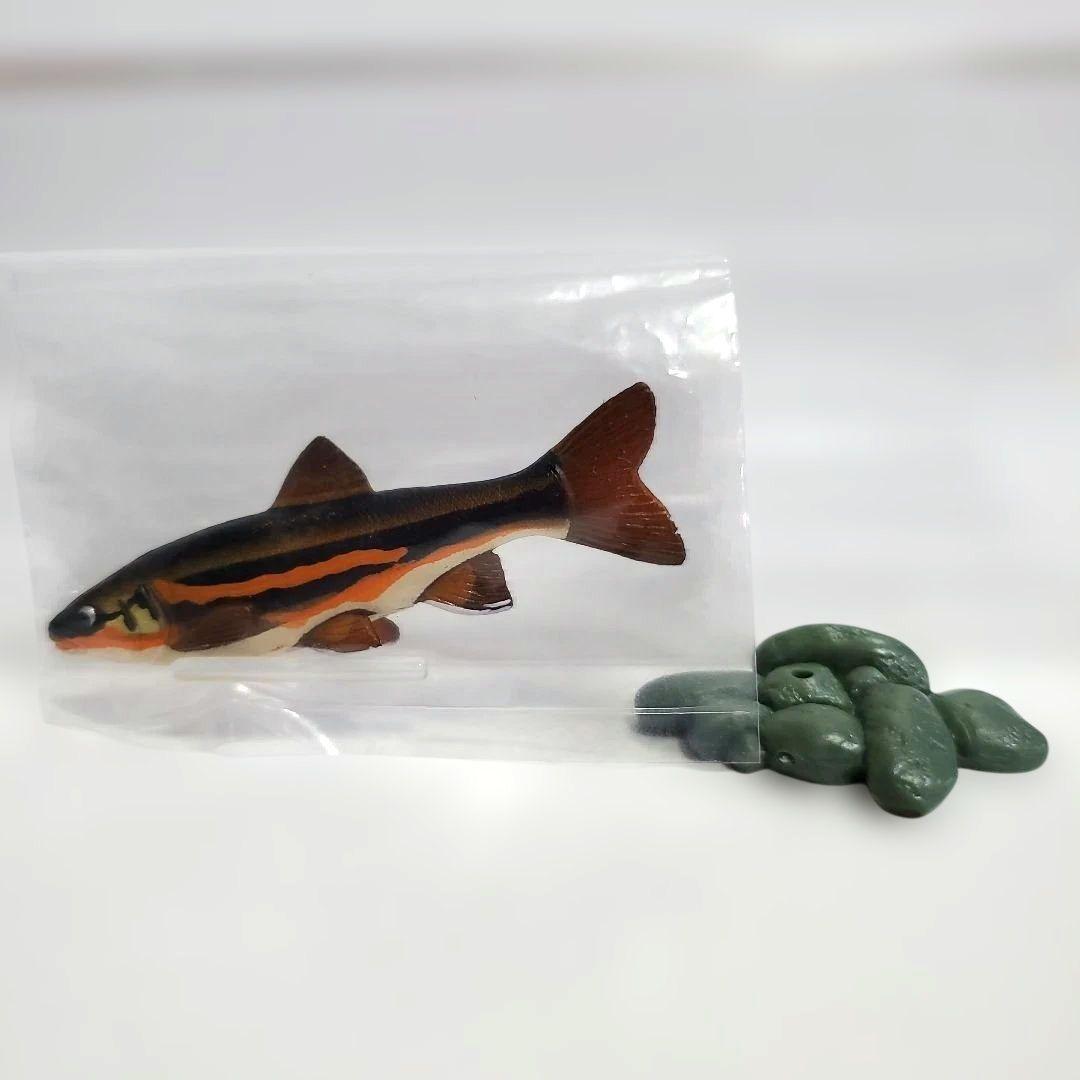 ユージン 原色淡水魚図鑑Ⅰ 全13種+シークレット1種セット