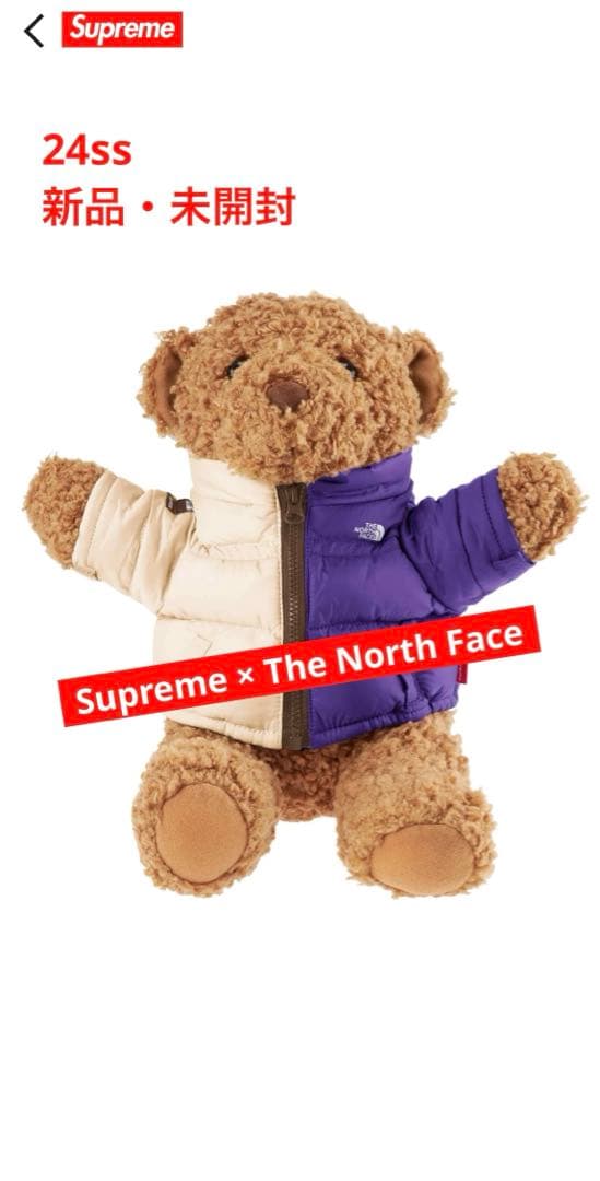 【完売・希少コラボ】Supreme x The North Face Bear