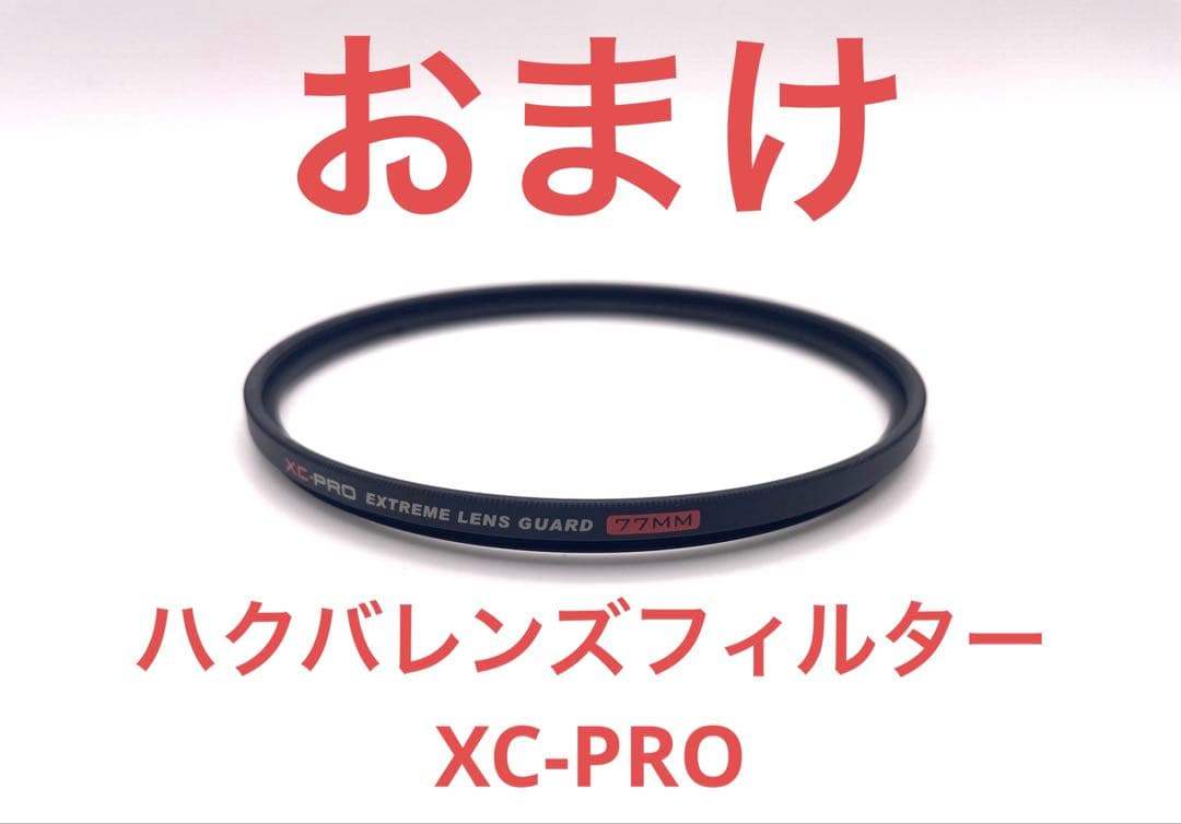 LEICA DG VARIO-SUMMILUX 10-25㎜【H-X1025】