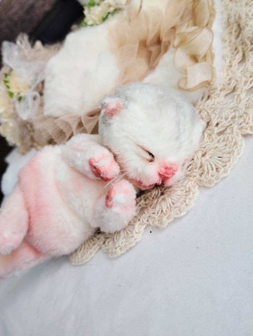 昨日生まれました♡生後１日子猫ちゃん♡おねんねセット♡アートドール♡ぬいぐるみ♡