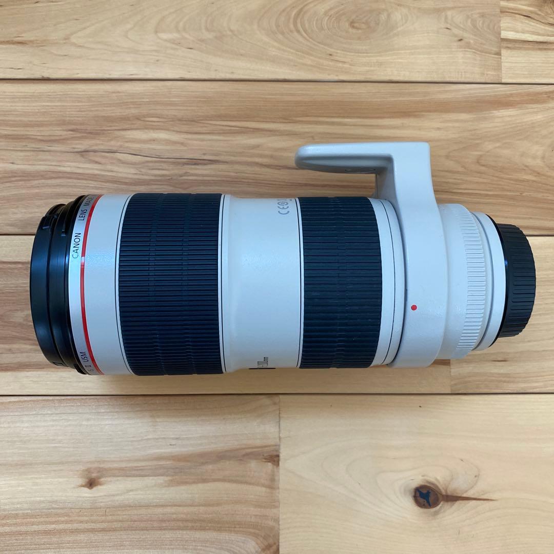 Canon EF 70-200mm f/2.8L IS II USM 白レンズ