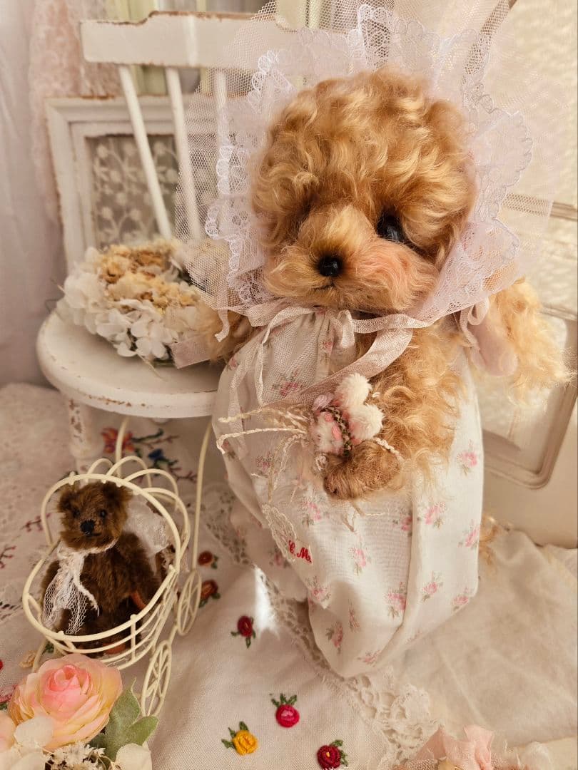 カーリーモヘアのトイプードルちゃん.*・゜特別なset₊˚⊹ ʚɞ テディベア