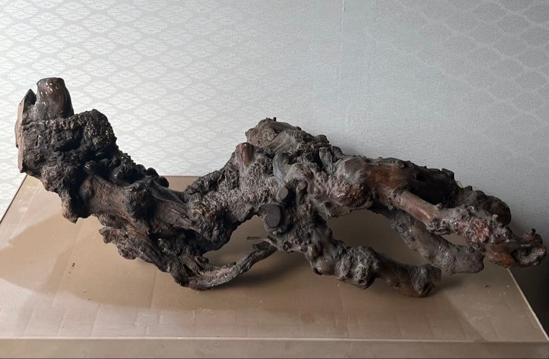 オブジェ　インテリア　流木　古木　鑑賞