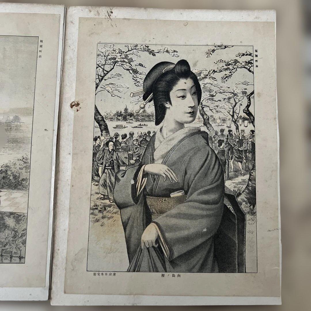 西洋画譜　美人十二ヶ月 ；石版　【8枚】