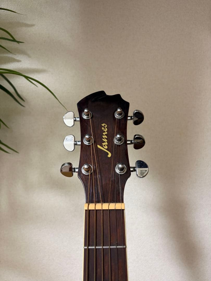 【美品】James J-300A NAT アコースティックギター　ソフトケース付