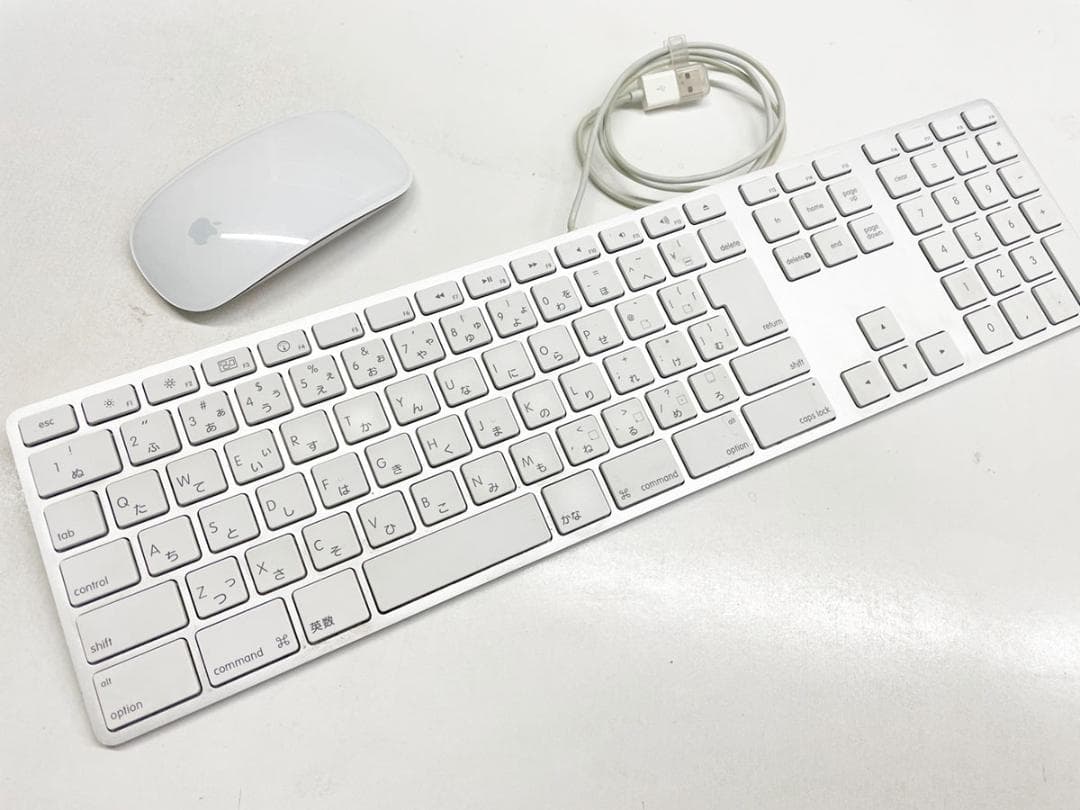Apple Keyboard A1243＋Magic Mouse A1296
