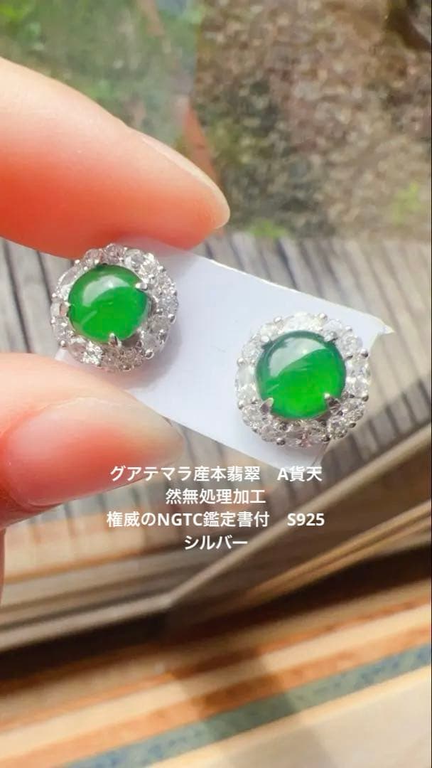 本翡翠グアテマラ産 氷辣緑帝王緑S925シルバーイヤリング NGTC鑑定