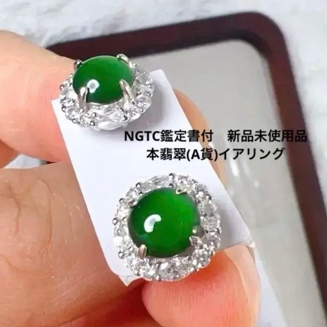 本翡翠グアテマラ産 氷辣緑帝王緑S925シルバーイヤリング NGTC鑑定